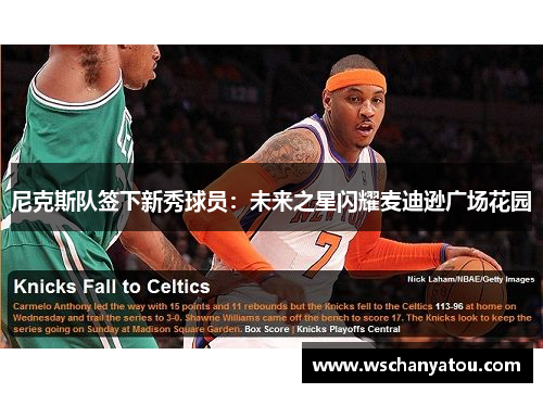 尼克斯队签下新秀球员：未来之星闪耀麦迪逊广场花园