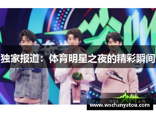 独家报道：体育明星之夜的精彩瞬间