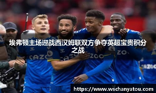 埃弗顿主场迎战西汉姆联双方争夺英超宝贵积分之战